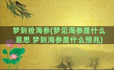 梦到捡海参(梦见海参是什么意思 梦到海参是什么预兆)